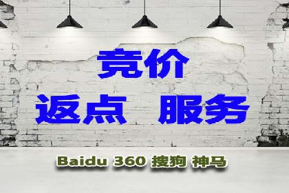 案例分析：SEM竞价代运营策略优化